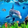 水族馆动态壁纸
