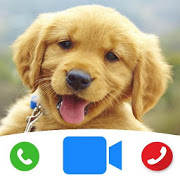 Cute Dog Prank Call – Fake Call