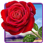 Rose. Magic Touch Flowers
