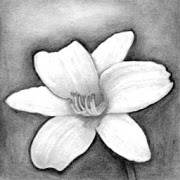 drawing technique drawing technique
