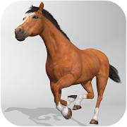 Horse Simulator 3D Horse Simulator 3D