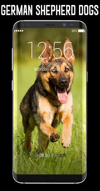 【图】German Shepherd Dog Lock Screen(截图1)
