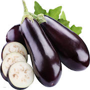 Brinjal-IFC Brinjal-IFC