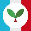 Learn French with Seedlang Learn French with Seedlang