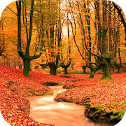 Autumn Wallpaper HD Autumn Wallpaper HD