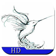 How to Draw Birds How to Draw Birds