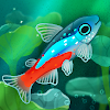 《池趣》你的鱼类心灵疗愈所.APK 《池趣》你的鱼类心灵疗愈所.APK