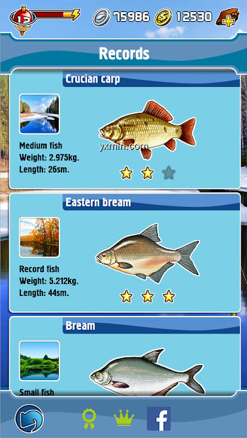 【图】Pocket Fishing(截图2)