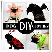 DIY狗衣服的想法 DIY狗衣服的想法