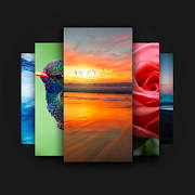 Apex Wallpaper – WhatsApp Wallpapers&Touch Effect