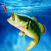 Fish Hunting Fishing Hook Game Fish Hunting Fishing Hook Game
