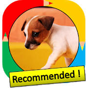 Color by Number – dog – Pixel Art Color by Number – dog – Pixel Art