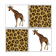 Memorize! Zoo Memorize! Zoo