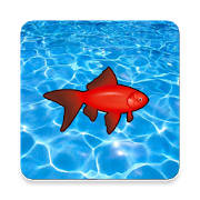 Game for cat | fish Game for cat | fish