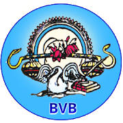 Bharti Vidhya Bhawan Banswara Bharti Vidhya Bhawan Banswara