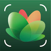 NatureID- Plant Identification