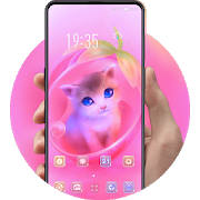 Pink Cute Kitty Theme Lovely Cup Cat Pink Cute Kitty Theme Lovely Cup Cat