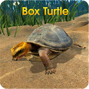 Box Turtle Simulator Box Turtle Simulator