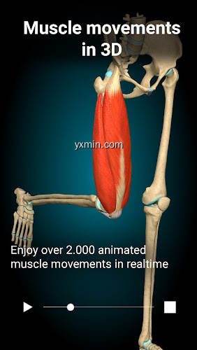 【图】Anatomy Learning – 3D 解剖学(截图2)