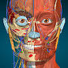 Anatomy Learning – 3D 解剖学
