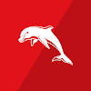 Dolphins Dolphins