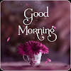 Everyday Good Morning Wishes