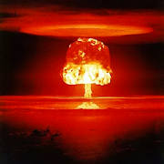 Trumpocalypse: The Aftermath Trumpocalypse: The Aftermath