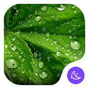 Green-APUS Launcher theme Green-APUS Launcher theme