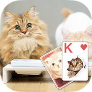 Solitaire Lovely Cats Theme Solitaire Lovely Cats Theme