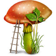 Edible mushroom – Photos