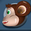 Ear Doctor Animal Vet Clinic – Pet Hospital