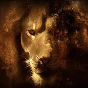 Lion King HD Live Free LWP Lion King HD Live Free LWP