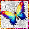 Relax Color – Paint by Number