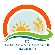T.C. GTHB T.C. GTHB