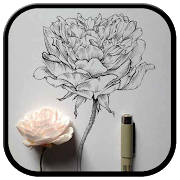 Flower Drawings and Sketches