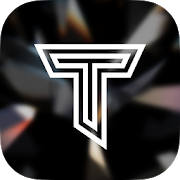 T MARK International