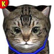 Kitty lovely 🐱 Virtual Pet