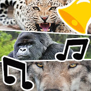 Best Animal Ringtones & Sounds