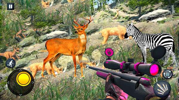 【图】Hunting Games 3D – Janwar Game(截图 1)