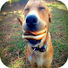 Funny Pics