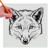Learn to Draw Animals by step Learn to Draw Animals by step