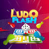 Ludo Flash Ludo Flash