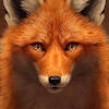 fox wallpaper