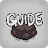 Unofficial Guide for BoI