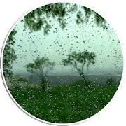 Rain Video Live Wallpaper Rain Video Live Wallpaper