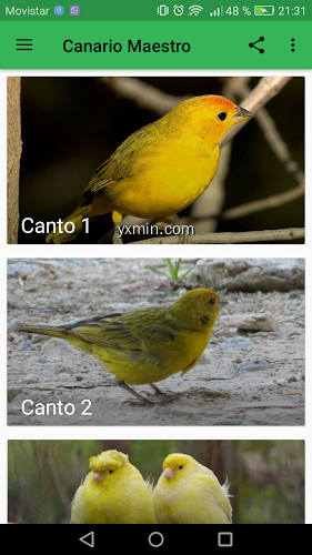 【图】Canario Maestro(截图1)
