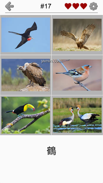 【图】Bird World – Quiz about Famous Birds of the Earth(截图2)