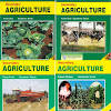 Agriculture: form 1 – 4 notes.