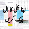 Check Electricity Bill Online