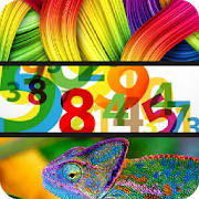 Colors Numbers Animals for Kid